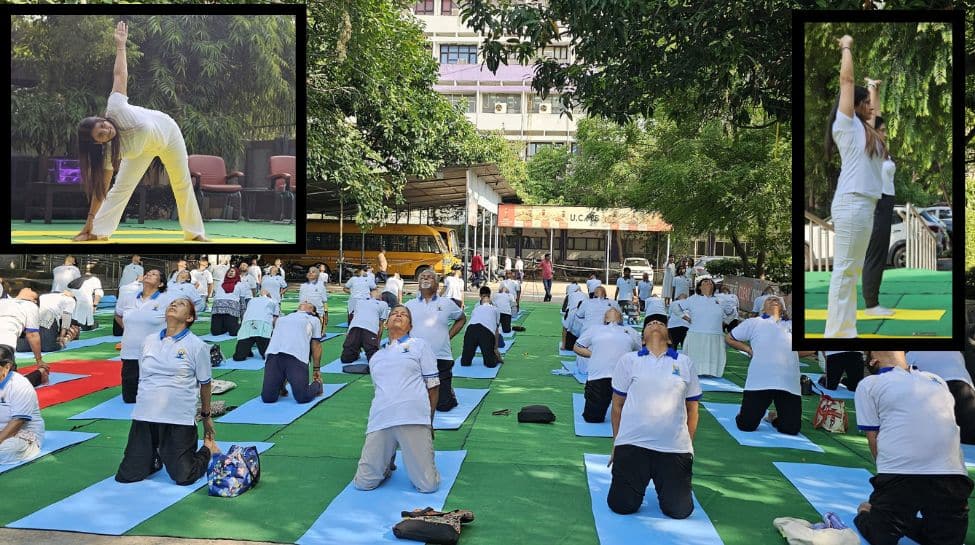 International Yoga Day 2025: Best Yoga Poses for Each Life Path Number | Health News