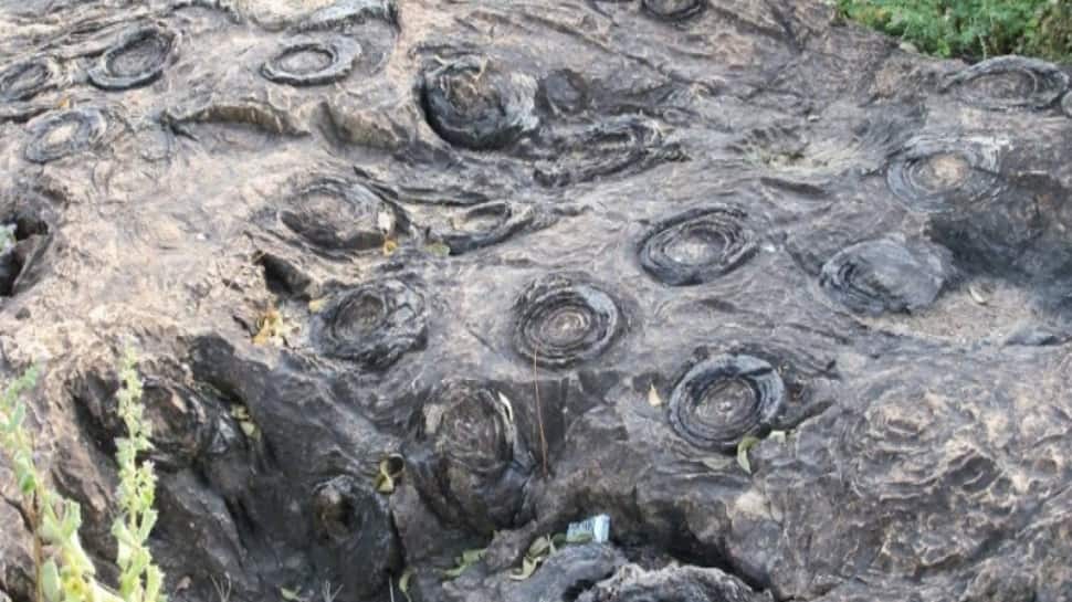 UP’s Salkhan Fossils Park Joins UNESCO’s Tentative World Heritage List