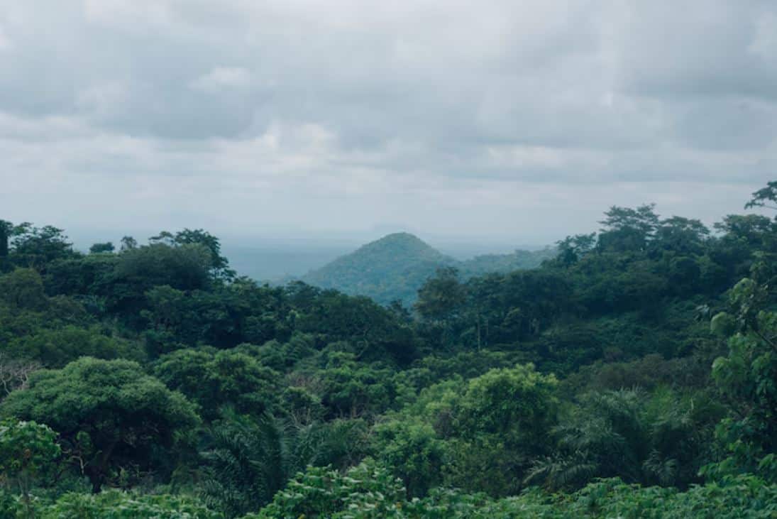 Rani Reserve Forest: Wildlife Trails Near the City nature escapes from Guwahati, Guwahati weekend getaways, lesser-known hill stations