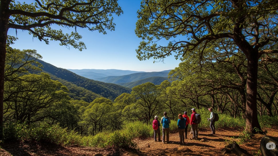 Kolaribetta Trek (Tamil Nadu)