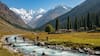Buran Ghati Trek (Himachal Pradesh)