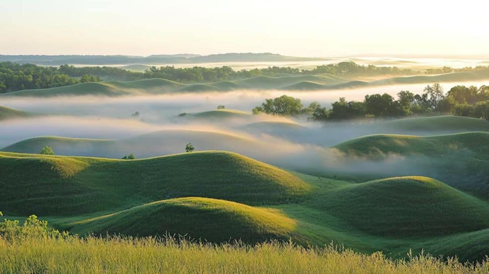 Lush Green Landscapes Come Alive