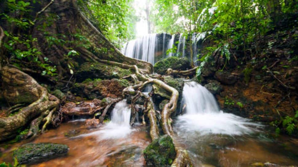 Agumbe, Karnataka – The Rainforest Escape