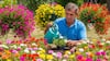 Portulaca (Moss Rose)