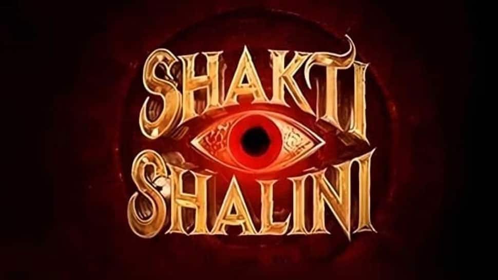 Shakti Shalini