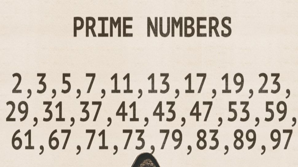 The New Prime Code: How Two Mathematicians Found A Hidden Pattern In ...
