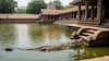 Temple Guardian of Ananthapura Lake Temple
