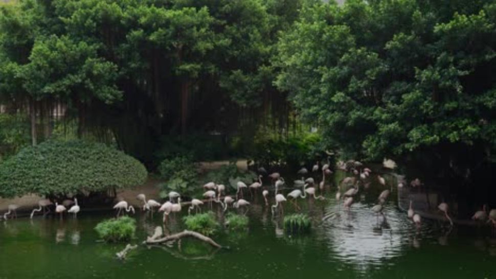 Bandhavgarh National Park, Madhya Pradesh