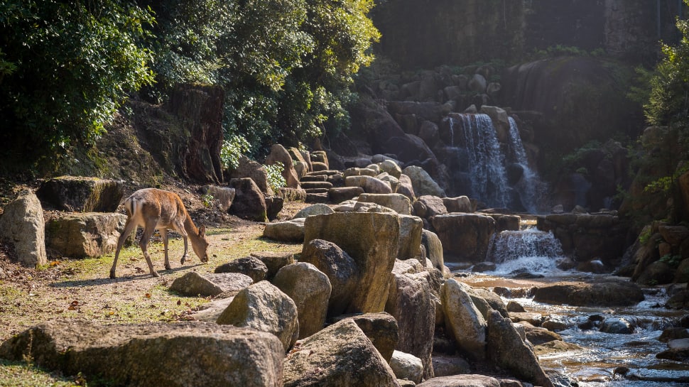Lachhiwala Nature Park (Near Dehradun)