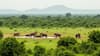 Rajaji National Park