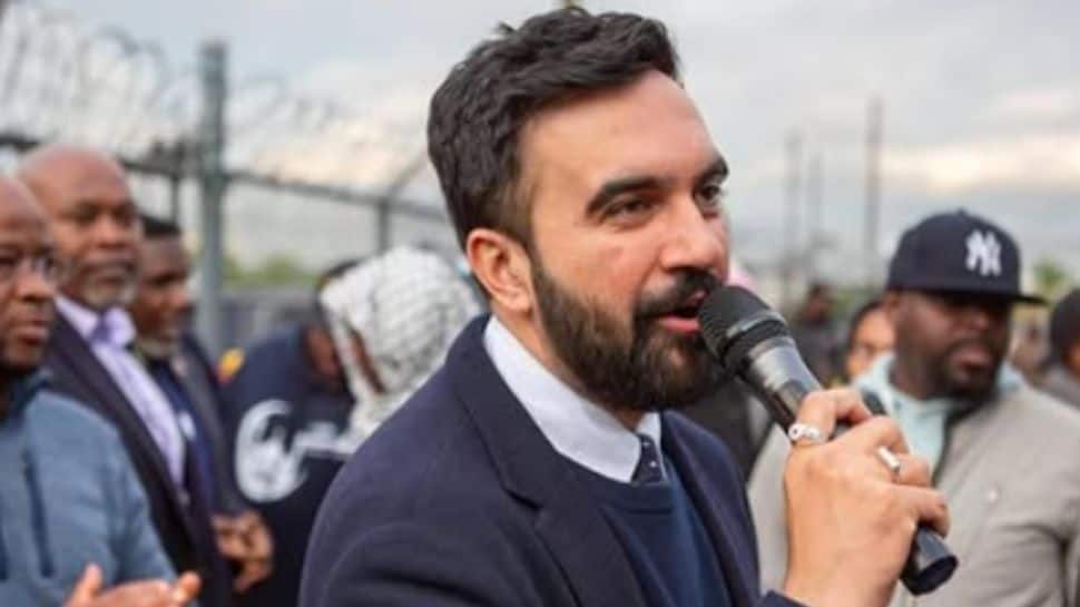 Meet New Yorks New Mayor: Indian-Origin Zohran Mamdani Is Filmmaker Mira Nairs Son