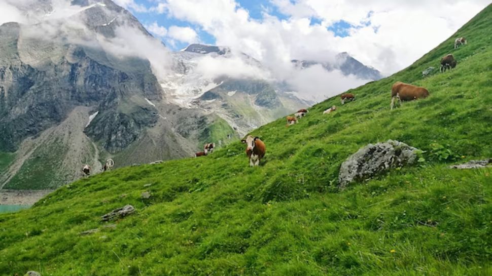 Dalhousie, Himachal Pradesh