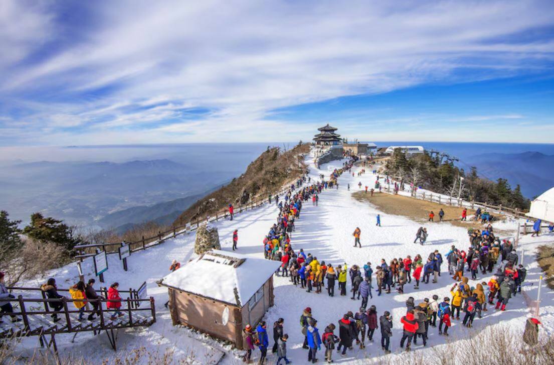 Dharamshala Is a Soulful Escape You’ll Keep Coming Back To best places to visit in Dharamshala, Dharamshala travel guide, HPCA Stadium Dharamshala, Triund trek