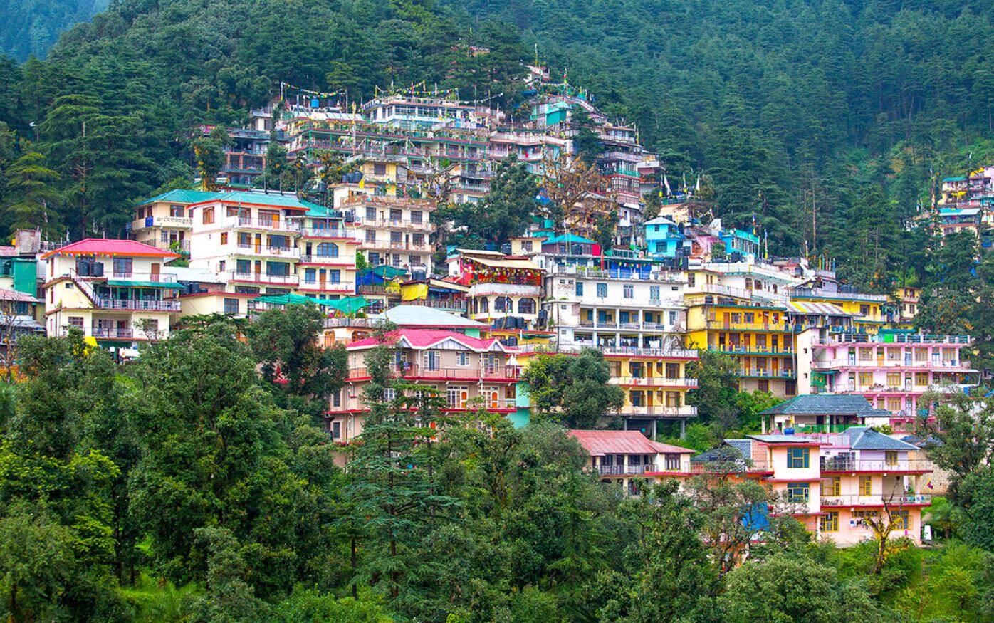 Feel the Heartbeat of Tibet in McLeod Ganj best places to visit in Dharamshala, Dharamshala travel guide, HPCA Stadium Dharamshala, Triund trek