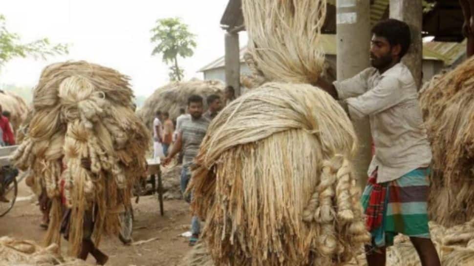 India Restricts Imports Of Jute, Its Derivatives From Bangladesh