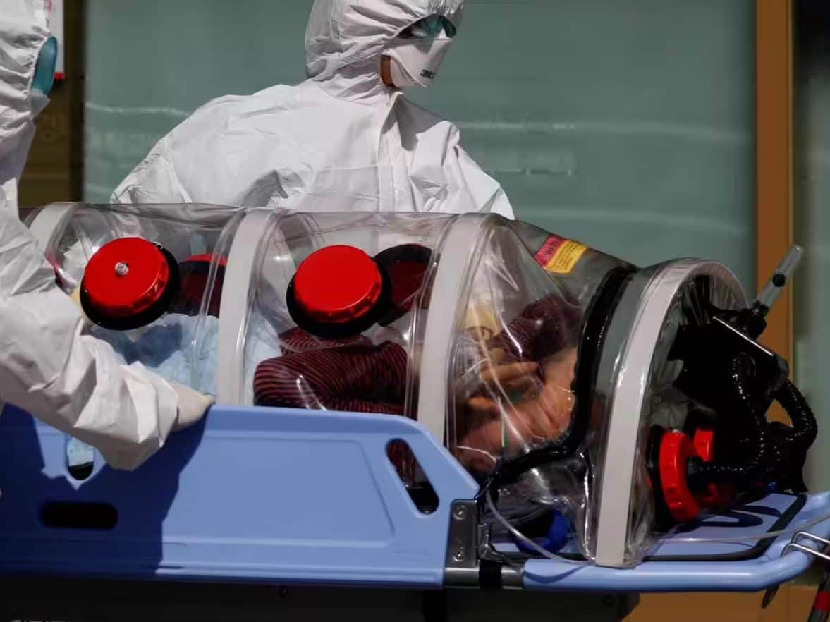 future pandemic warning, Nipah Hendra related virus, zoonotic virus China, virus in bats China