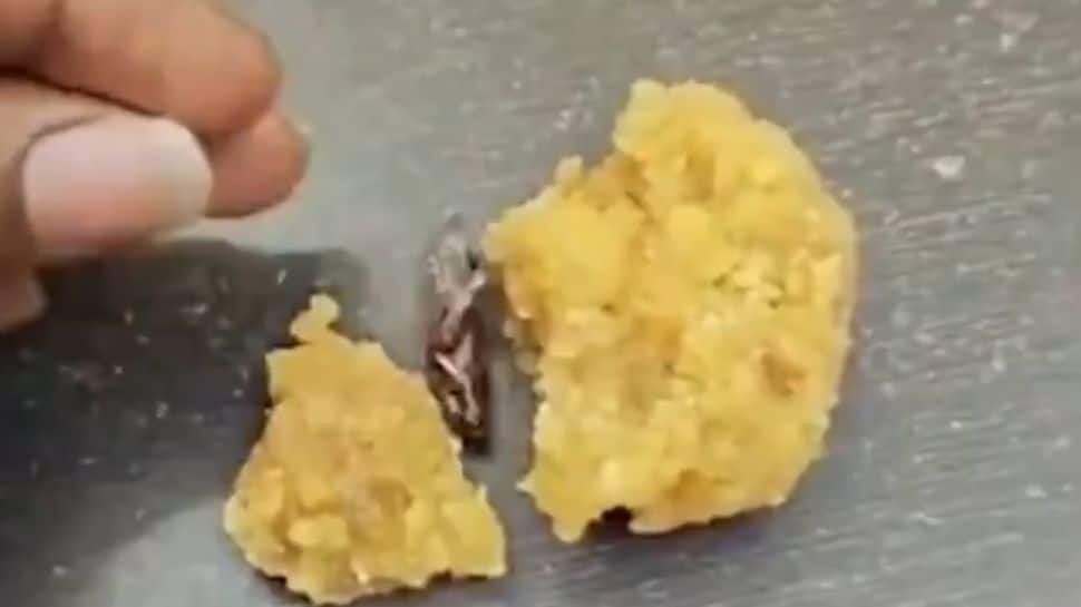 Cockroach In Prasad? Viral Video Sparks Outrage At Srisailam Temple