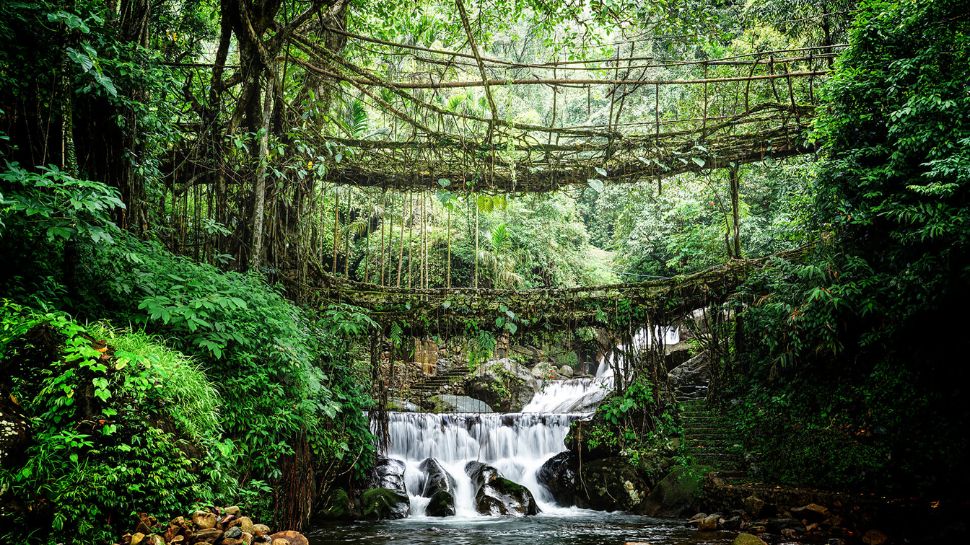 Meghalaya – Caving, Waterfalls & Living Root Bridges