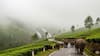 Valparai, Tamil Nadu