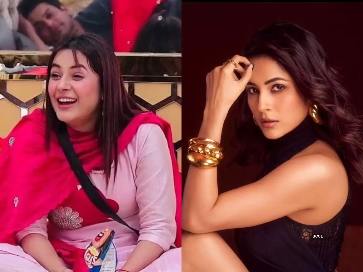 Shehnaaz Gill Transformation
