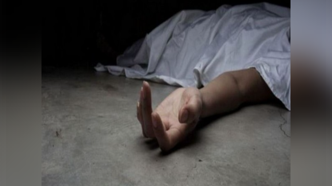 Mother-Son Duo Murdered In Delhi`s Lajpat Nagar By Servant, Police Arrests Accused