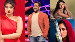 Bigg Boss 19 Tentative List & Celebs Who Rejected Salman Khan's Show: In Pics