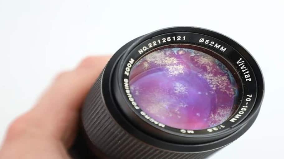 How Lens Fungus Destroys Camera From Within – And What You Can Do About It