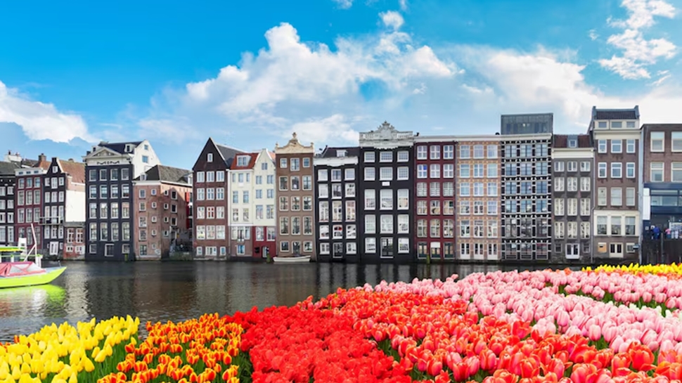 9. Netherlands