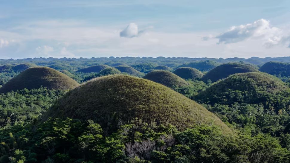 Borneo (Sabah and Sarawak), Malaysia – Rainforest Expeditions and Wildlife Encounters
