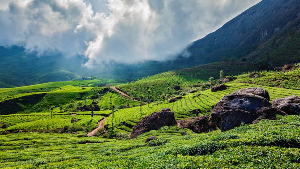 Wayanad, Kerala – Waterfalls, Wildlife, and Emerald Forests