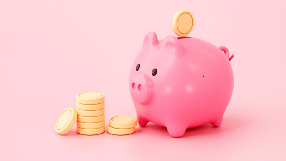 Pig a lucky charm in Chinese culture
