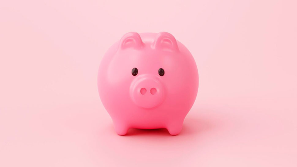 History of the piggy bank name
