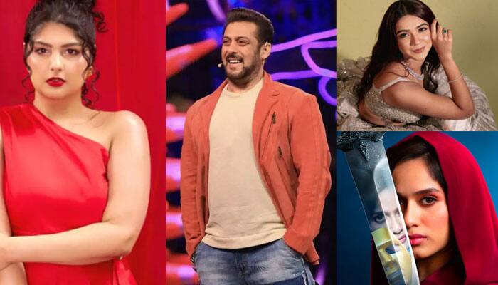 Contestants Who Rejected Bigg Boss 19 Offer Contestants Who Rejected Bigg Boss 19 Offer