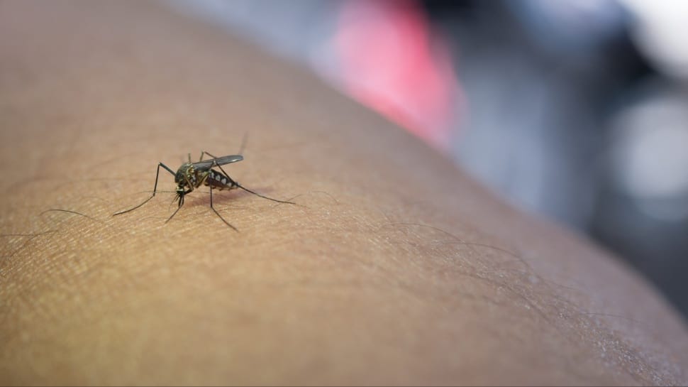 Goa Targets Malaria-Free Status by 2025–26: Health Minister Rane Outlines Roadmap