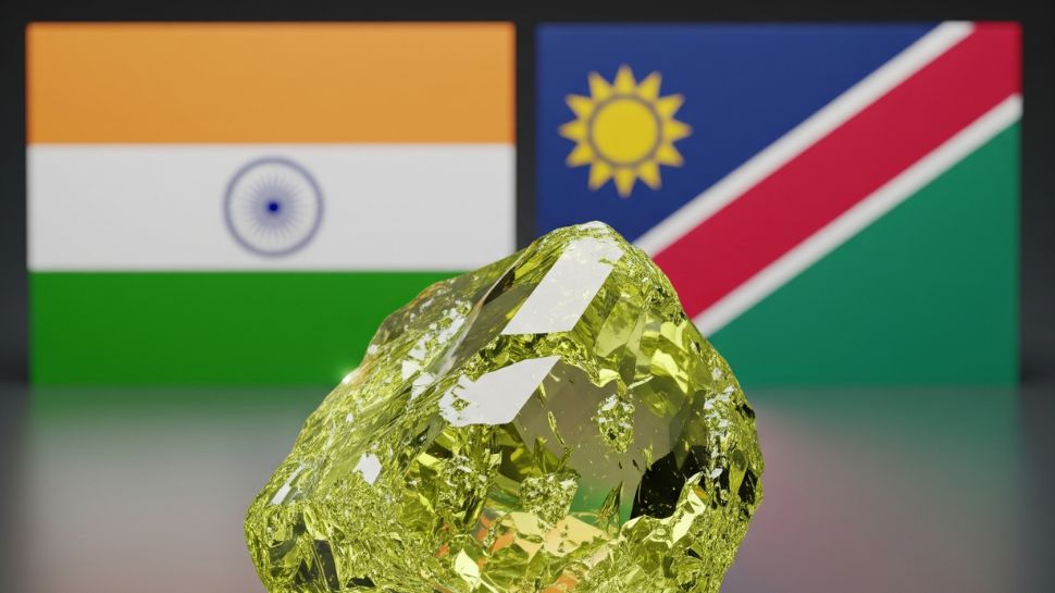 India Looking To Import Uranium From Namibia: Indian Envoy