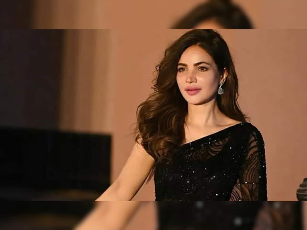 Pakistani Actress Humaira Asghar Ali Found Dead In Karachi Flat, Decomposed Body Recovered After 2 Weeks; Mawra Hocane Reacts: Report