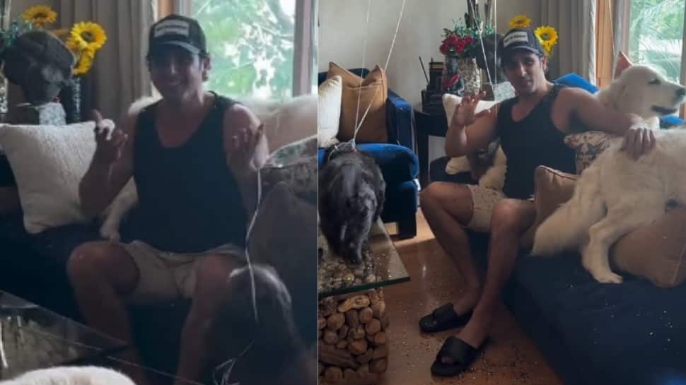 Zayed Khan Gets Heartfelt Birthday Surprise From Family, Candid Celebration Video Goes Viral - WATCH