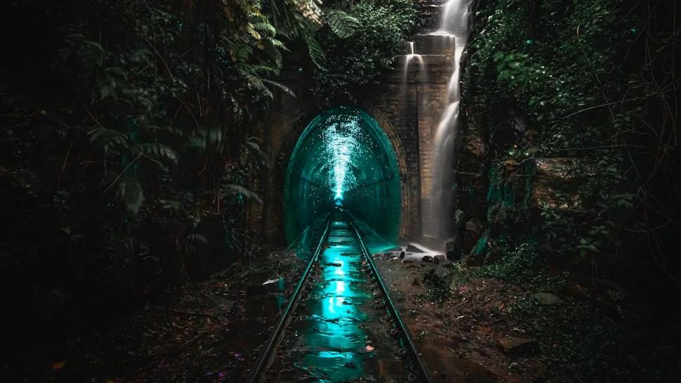 Glowworm Tunnel, Australia