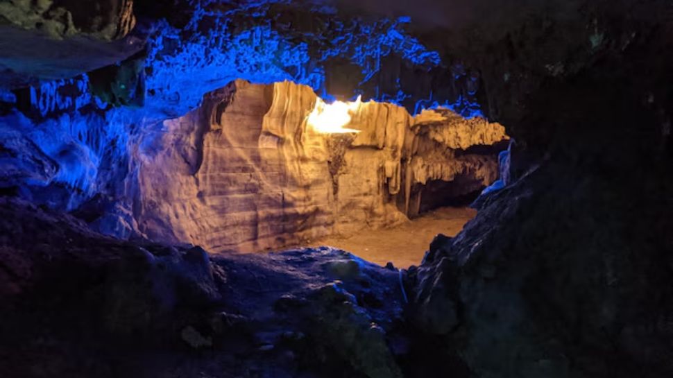 The Glowworm Caves, Waitomo, New Zealand