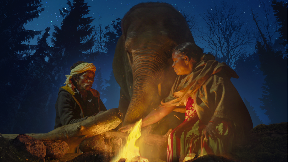 The Elephant Whisperers