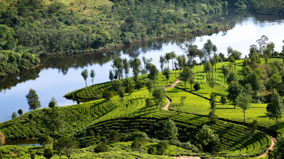 Munnar