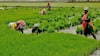 Is PM KISAN 20th Instalment Coming Today?