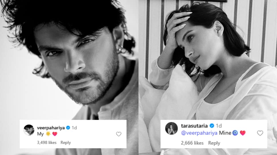 Are Veer Pahariya And Tara Sutaria The New Lovebirds Of B-Town? Actors' Flirty Comment Exchange Sparks Dating Rumours