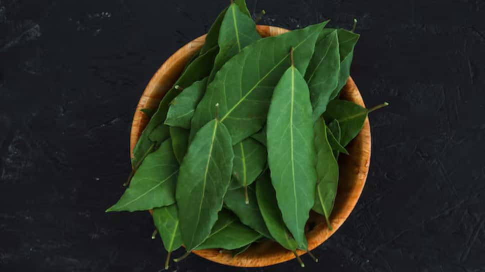 Curry Leaves (Kadi Patta)