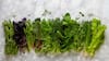 Indian Superfoods