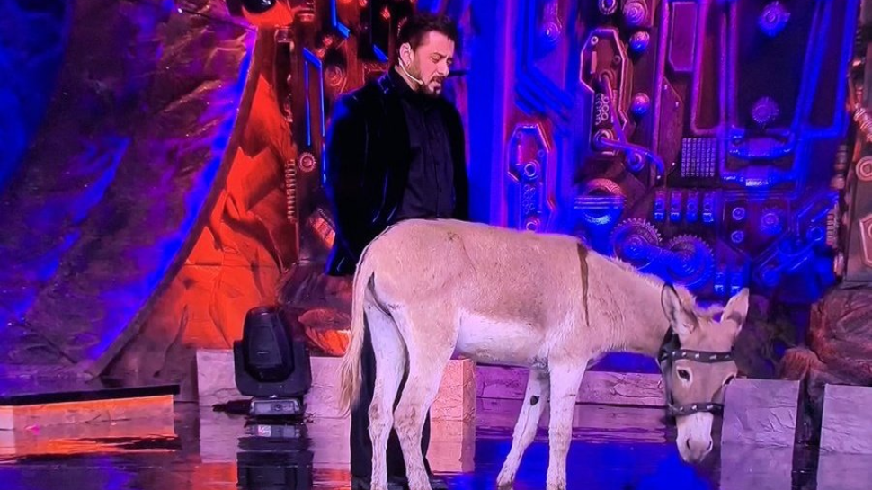 Gadhraj, The Donkey