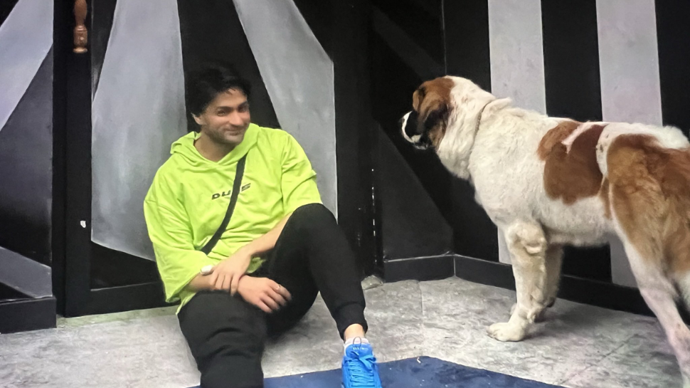 Maahim, The Dog