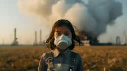 Is Air Secretly Destroying Your Brain? Study Reveals Shocking Link To Dementia
