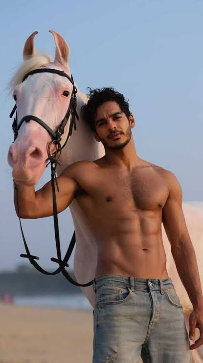 Top Gen-Z Bollywood Actors Who Got Hottest Body Transformation: Ahaan ...