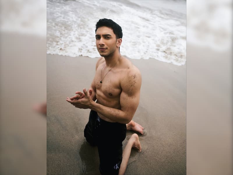 Top Gen-Z Bollywood Actors Who Got Hottest Body Transformation: Ahaan ...